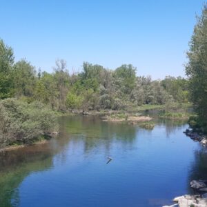 Ambienti d’acqua alla Lanca di Bernate al Parco Ticino